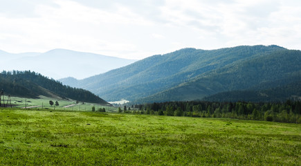Green meadow at background of mountains and forest