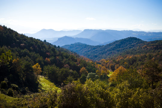 Mountains and autumn forest with oaks and pines between Osona an llucanes.