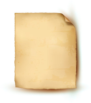 Empty realistic sheet of parchment paper. Vector illustration.