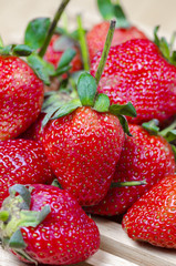 Red berry strawberry