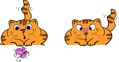 cat playing with butterfly