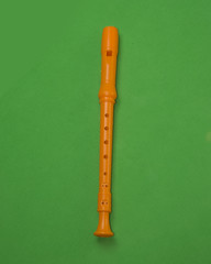 Flute/Musical Instrument