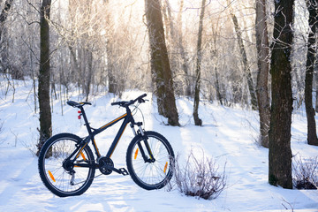 Naklejka premium Mountain Bike on the Snowy Trail in the Beautiful Winter Forest Lit by Sun