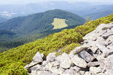 Fototapeta na wymiar Mountain landscape view with rocky peak and green mountain pines in Carpathians Gorgany