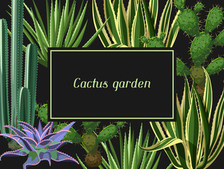 Card with cactuses and succulents set. Plants of desert