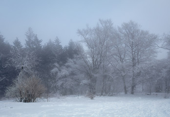 Winter im Sauerland