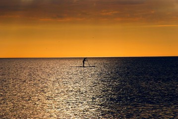 Paddle Boarder in Sunset Drenched Ocean