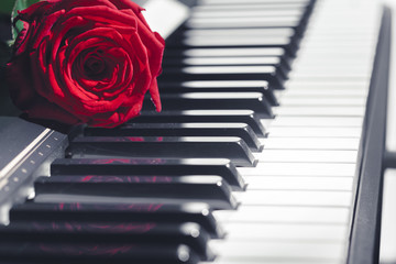 grand piano with red rose