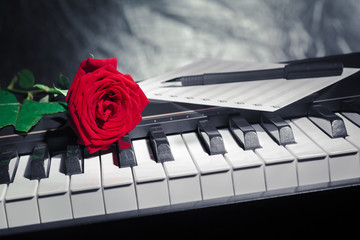 grand piano with red rose