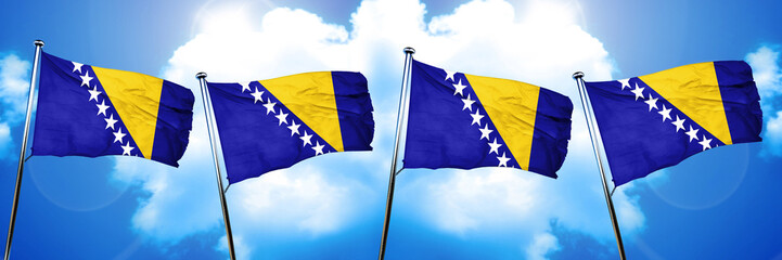 Bosnia and Herzegovina flag, 3D rendering, on cloud background