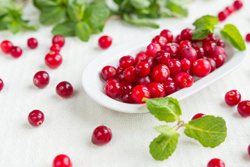 Fresh juicy cranberry and mint juice, close-up