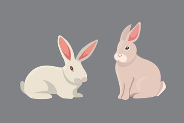 vector illustration of cartoon rabbits different breeds. Fine bunnys for veterinary design