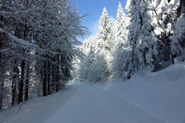 winter im bayerischen wald - sankt englmar