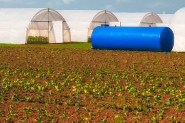 Greenhouses in the garden with irrigation tank in a cabbage fiel - 134498626