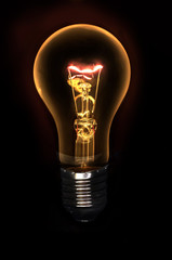 bulb