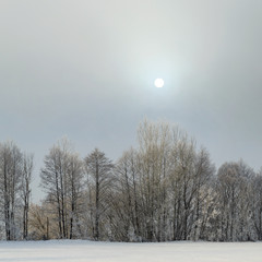 Cold winter day, beautiful hoarfrost and rime on trees