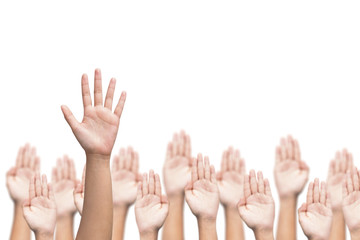 Business crowd raising hands high up on white background. Concept Business / Question / Ask. 