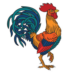 Vector illustration of a rooster