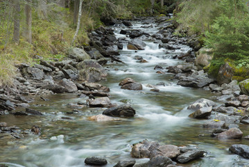 Waldbach im Gebirge
