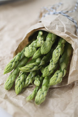 Gruener Spargel, Bund in Packpapier