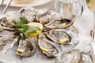 Frische Austern 