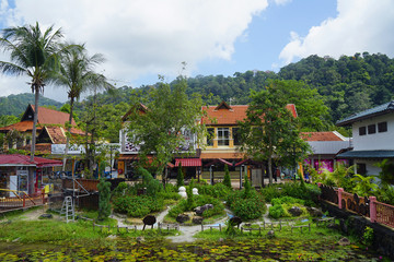 Langkawi island, Malaysia, Asia