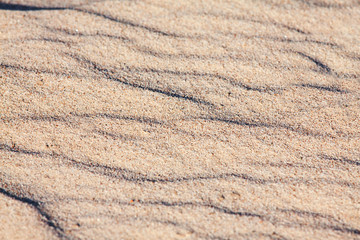 Background from sand on the beach in summer Sunny day