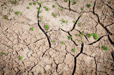 Background of cracked earth in dry weather