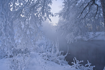 Walk in the bitter cold along the Pekhorka river . Moscow oblast