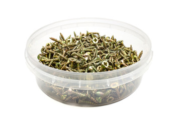 Screws for the assembly of furniture in storage box