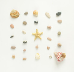 Summer background. Seashells, starfish, sea pebbles on white background