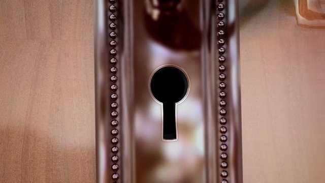 Keyhole flight. High quality animation showing keyhole flight in the door. Inside three animations: 1.Main animation and shine, 2.Main animation, 3.Matte key