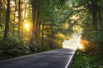 Foto auf Alu-Dibond asphalt forest road in a morning foggy misty forest with sun rays. Osnabruck, Germany © Aastels