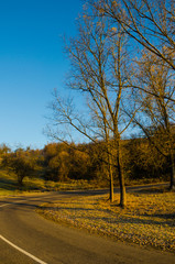 autumn landscape, the road leading into the mountains, blue moun