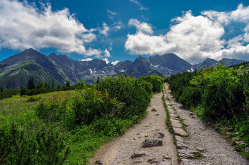 Naklejka na ściany i meble Beautiful scenery of Tatra mountains