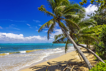 Panele Szklane  Plaża Punaluu na wyspie Oahu na Hawajach
