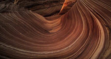 Coyote Buttes The Wave