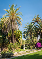 Fototapeta na wymiar Beautiful garden with palm trees and a fountain in San Remo