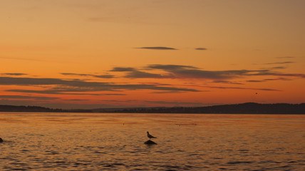 Obraz premium Sunset on Lake Onega