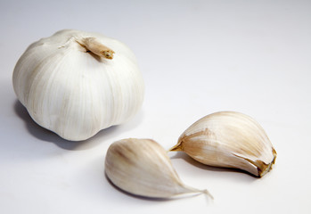 gousse d ail