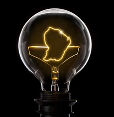 Lightbulb with a glowing wire in the shape of French Guiana (series)