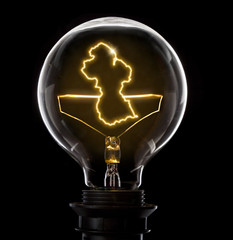 Lightbulb with a glowing wire in the shape of Guyana (series)