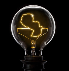 Lightbulb with a glowing wire in the shape of Paraguay (series)