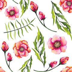 Seamless Pattern of Watercolor Ferns, Poppies and Buds