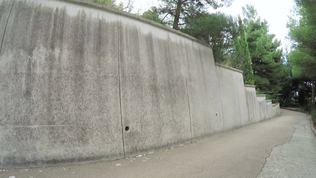 Stone wall with climbing plants