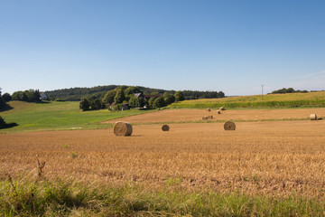 Obraz premium Sommer im Sauerland