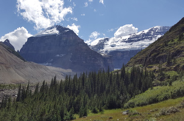 Fototapeta premium The Ice Shelf