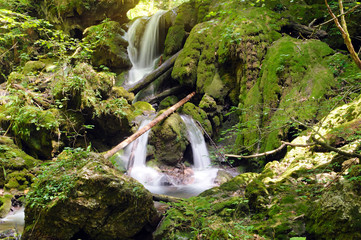 Typical cascade waterfall made from tufa with bryophytes (non-vascular land plants).
