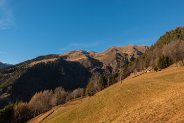 Mountain landscape and forests in autumn