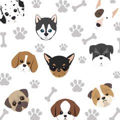 cute dog isolated icon vector illustration design